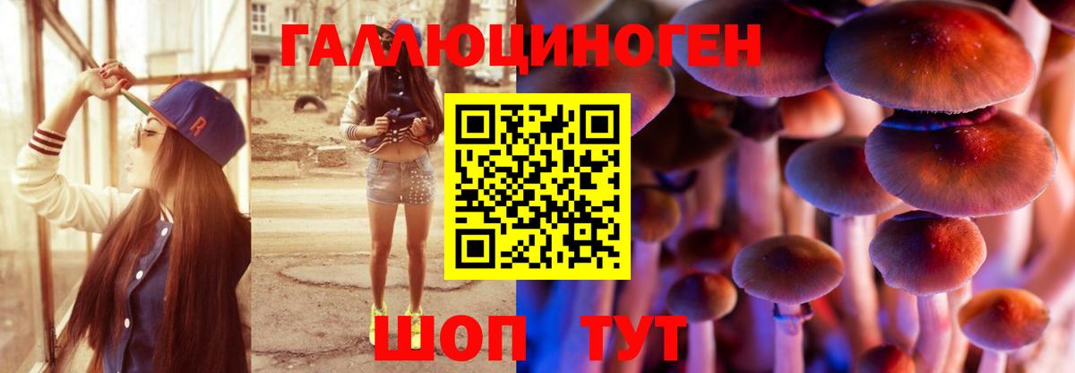 Псилоцибиновые грибы MAGIC MUSHROOMS  Псилоцибиновые грибы мухоморы  Заволжье  Вход с VPN 